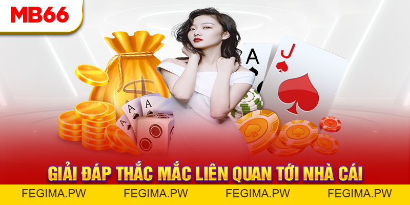 Câu Hỏi Thường Gặp - MB66 Trả Lời Thắc Mắc Từ Hội Viên - Fegima