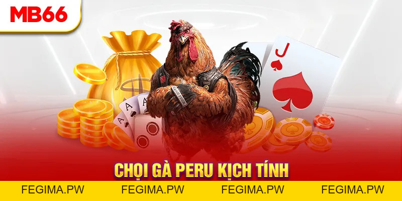 Đá Gà MB66 - Đấu Trường Đổ Máu Của Các Chiến Kê Hàng Đầu - Fegima