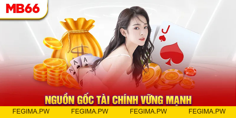 Giấy Phép Hoạt Động - Cơ Sở Cho Tính Minh Bạch Của MB66 - Fegima