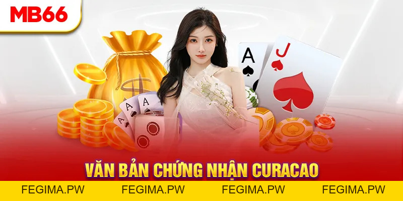 Giấy Phép Hoạt Động - Cơ Sở Cho Tính Minh Bạch Của MB66 - Fegima