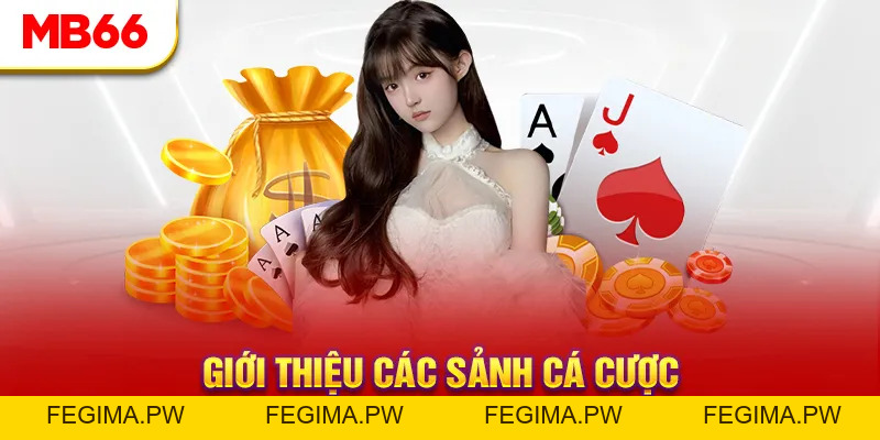 Giới Thiệu MB66 - Khám Phá Sân Chơi Cá Cược Top 1 Châu Á - Fegima