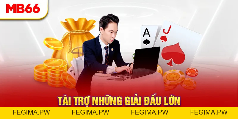CEO MB66 - Lãnh Đạo Tài Ba Đứng Sau Thành Công Nhà Cái - Fegima