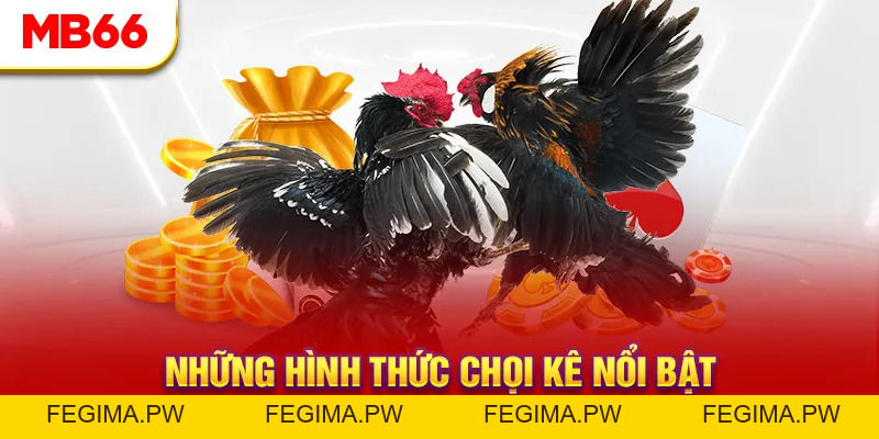 Đá Gà MB66 - Đấu Trường Đổ Máu Của Các Chiến Kê Hàng Đầu - Fegima