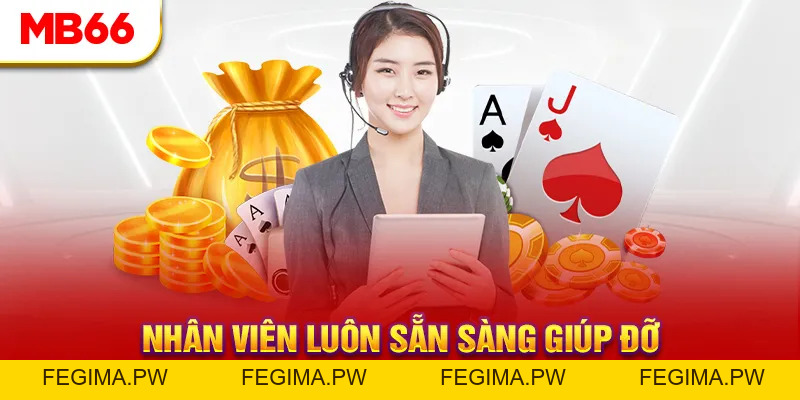 Liên Hệ MB66 - Giới Thiệu Các Phương Thức Kết Nối Siêu Tốc - Fegima