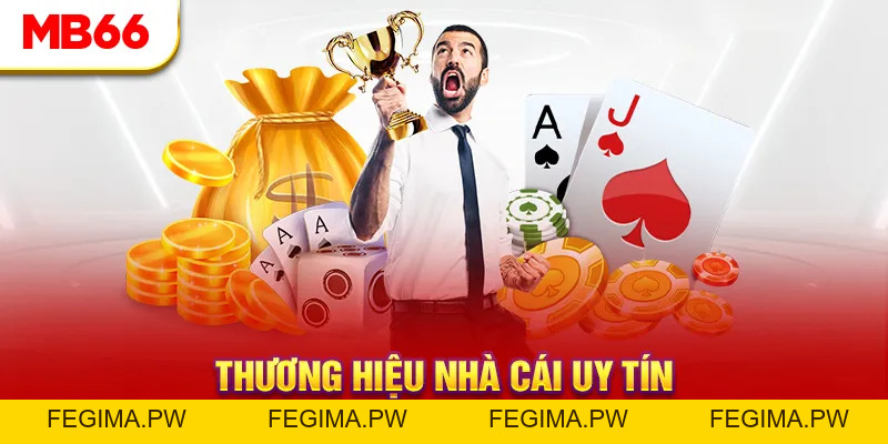 Hợp Tác Mở Đại Lý MB66 - Nguồn Thu Nhập Không Giới Hạn - Fegima