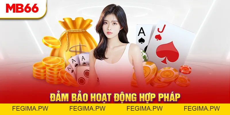 Giấy Phép Hoạt Động - Cơ Sở Cho Tính Minh Bạch Của MB66 - Fegima