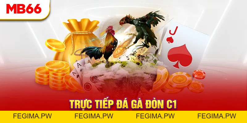 Đá Gà MB66 - Đấu Trường Đổ Máu Của Các Chiến Kê Hàng Đầu - Fegima