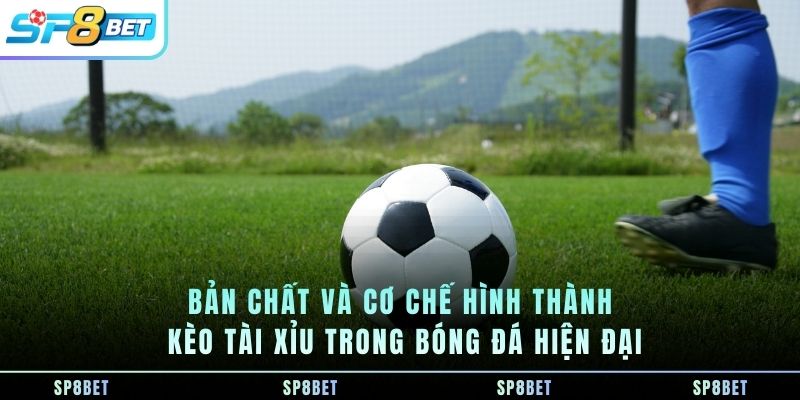Kèo Tài Xỉu-Đọc Tổng Bàn Thắng Và Phân Tích Nhịp Độ Trận Đấu - Fegima