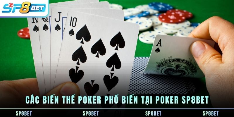 Poker SP8BET - Trải Nghiệm Game Bài Chiến Thuật Trên Nền Tảng - Fegima
