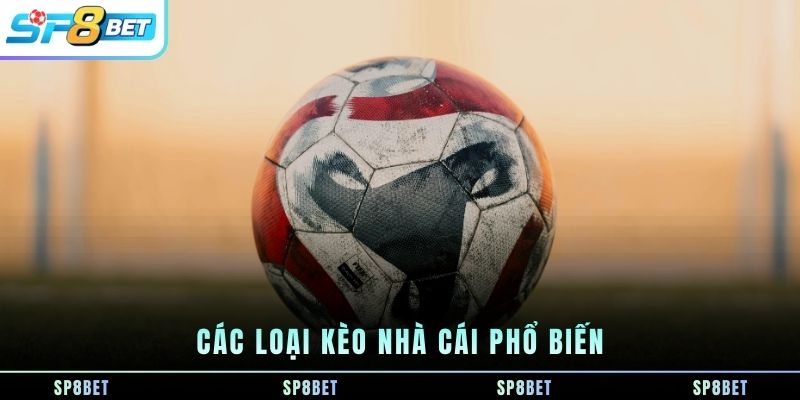 Kèo Nhà Cái SP8BET - Cách Hiểu, Phân Tích Và Theo Dõi Tỷ Lệ Trước Trận - Fegima