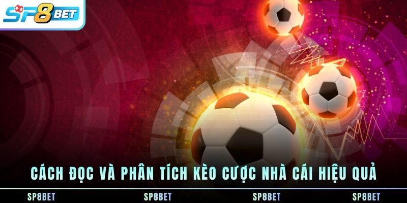 Kèo Nhà Cái SP8BET - Cách Hiểu, Phân Tích Và Theo Dõi Tỷ Lệ Trước Trận - Fegima