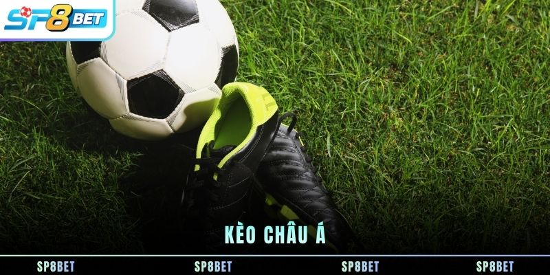 Uncategorized - sp8beta.net - Fegima
