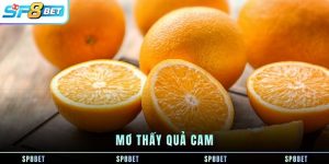 Cách Hack Game Bắn Cá - Sự Thật Đằng Sau Quảng Cáo Bắn Trúng 100% - Fegima