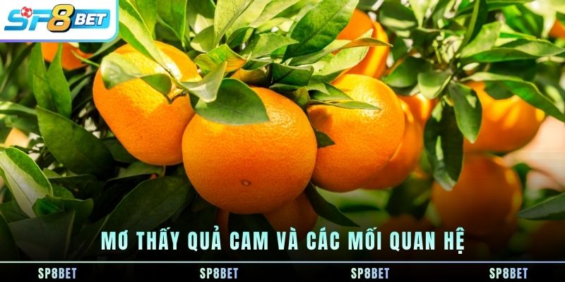 Mơ Thấy Quả Cam - Biểu Tượng Cảm Xúc, Sức Sống Và Con Số - Fegima