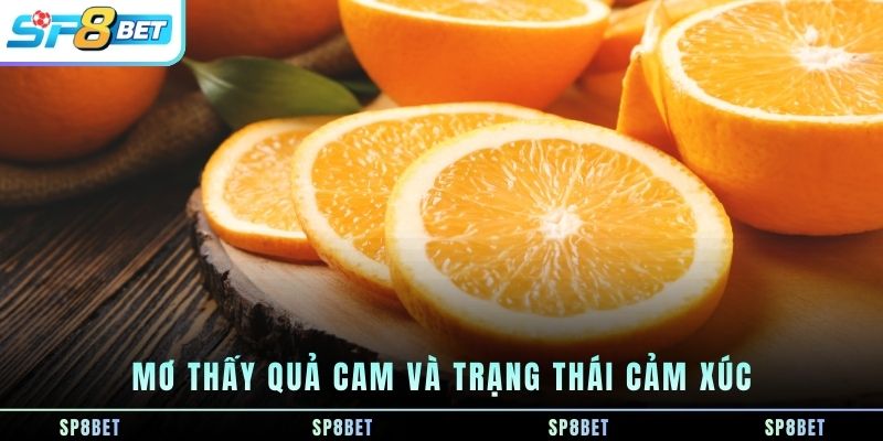 Mơ Thấy Quả Cam - Biểu Tượng Cảm Xúc, Sức Sống Và Con Số - Fegima