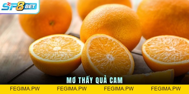 Mơ Thấy Quả Cam - Biểu Tượng Cảm Xúc, Sức Sống Và Con Số - Fegima