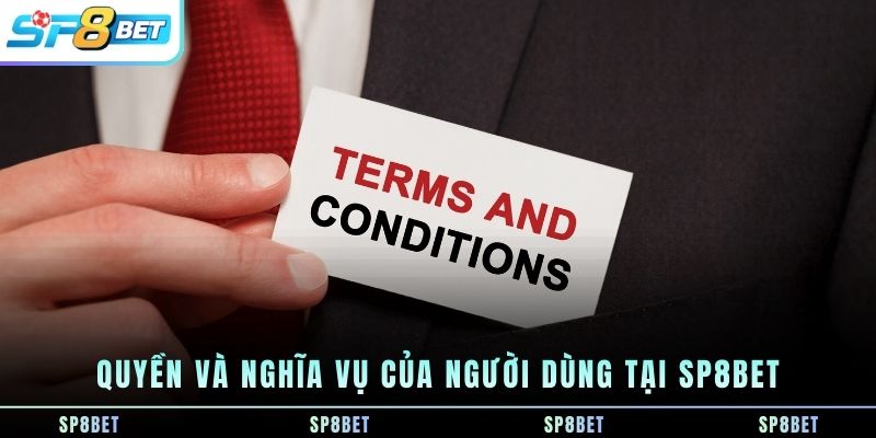 Điều Khoản Điều Kiện SP8BET - Quy Định Sử Dụng Dịch Vụ 2026 - Fegima