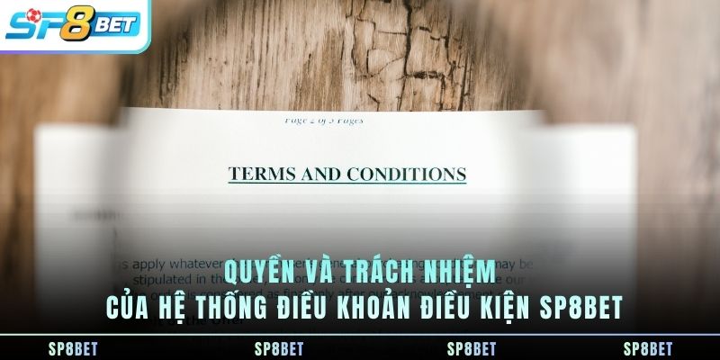 Điều Khoản Điều Kiện SP8BET - Quy Định Sử Dụng Dịch Vụ 2026 - Fegima