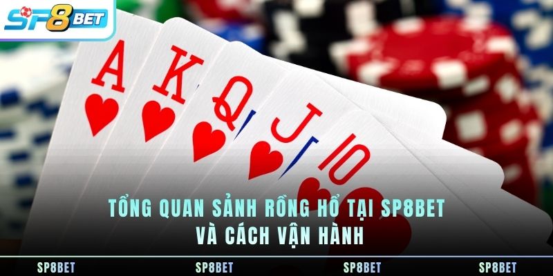 Rồng Hổ SP8BET - So Bài Nhanh Gọn Trên Nền Tảng Trực Tuyến - Fegima