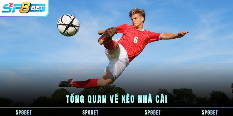 Kèo Châu Âu - Cách Đọc Tỷ Lệ 1X2 Và Phân Tích Trước Trận - Fegima