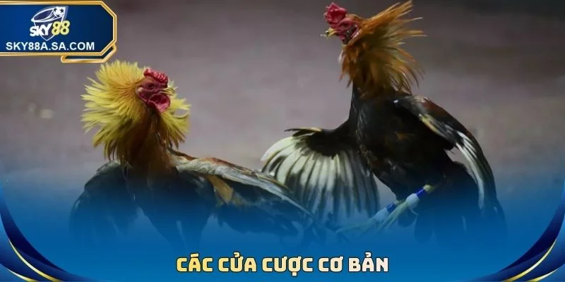 Đá Gà Cựa Dao - Kịch Tính Từng Giây, Nhận Thưởng Lớn - Fegima Đá Gà Cựa Dao - Kịch Tính Từng Giây, Nhận Thưởng Lớn - Fegima
