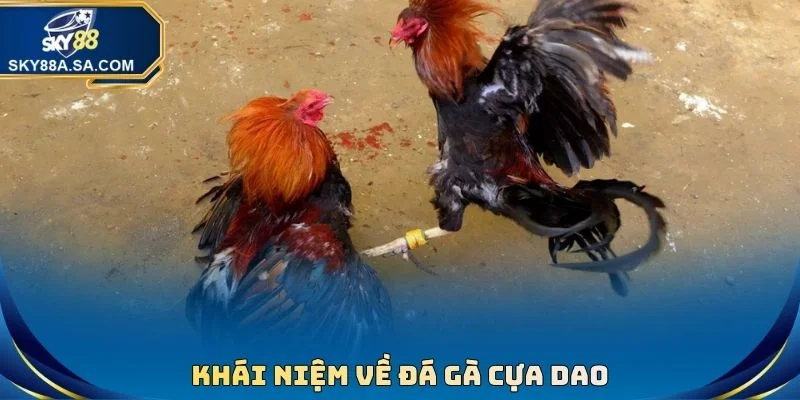 Đá Gà Cựa Dao - Kịch Tính Từng Giây, Nhận Thưởng Lớn - Fegima Đá Gà Cựa Dao - Kịch Tính Từng Giây, Nhận Thưởng Lớn - Fegima