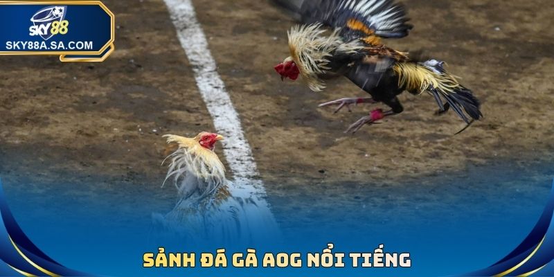 Đá Gà Sky88 - Phát Sóng Đấu Chọi Trực Tiếp Full HD - Fegima
