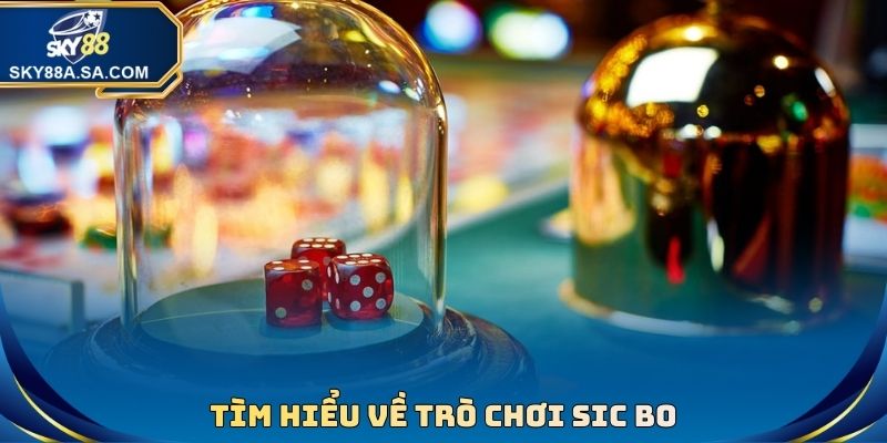 Sic Bo Là Trò Chơi Gì? Cách Chơi Cụ Thể Và Mẹo Săn Thưởng - Fegima