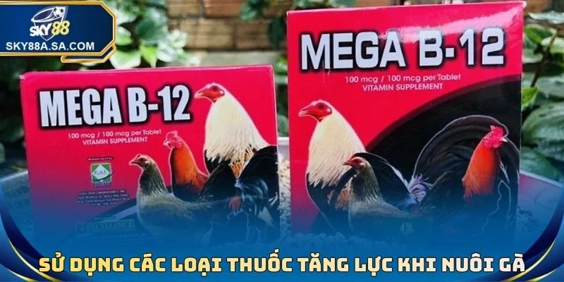 Thức Ăn Gà Đá - Chế Độ Giúp Chiến Kê Sung Mãn Tài Cựa - Fegima