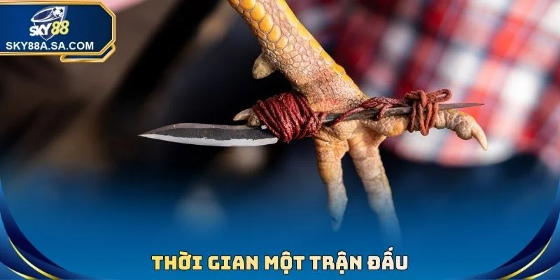 Đá Gà Cựa Dao - Kịch Tính Từng Giây, Nhận Thưởng Lớn - Fegima Đá Gà Cựa Dao - Kịch Tính Từng Giây, Nhận Thưởng Lớn - Fegima