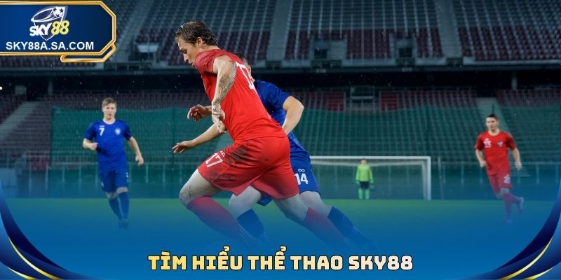 Thể Thao Sky88 - Chuyên Mục Giải Trí Kèo Cược Sôi Động - Fegima